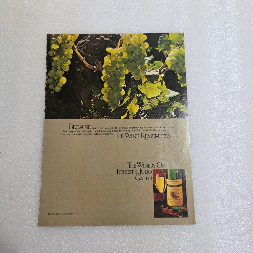 Vintage Print Ad Winery of Ernest & Julio Gallo green grapes color 8x10.5 1979